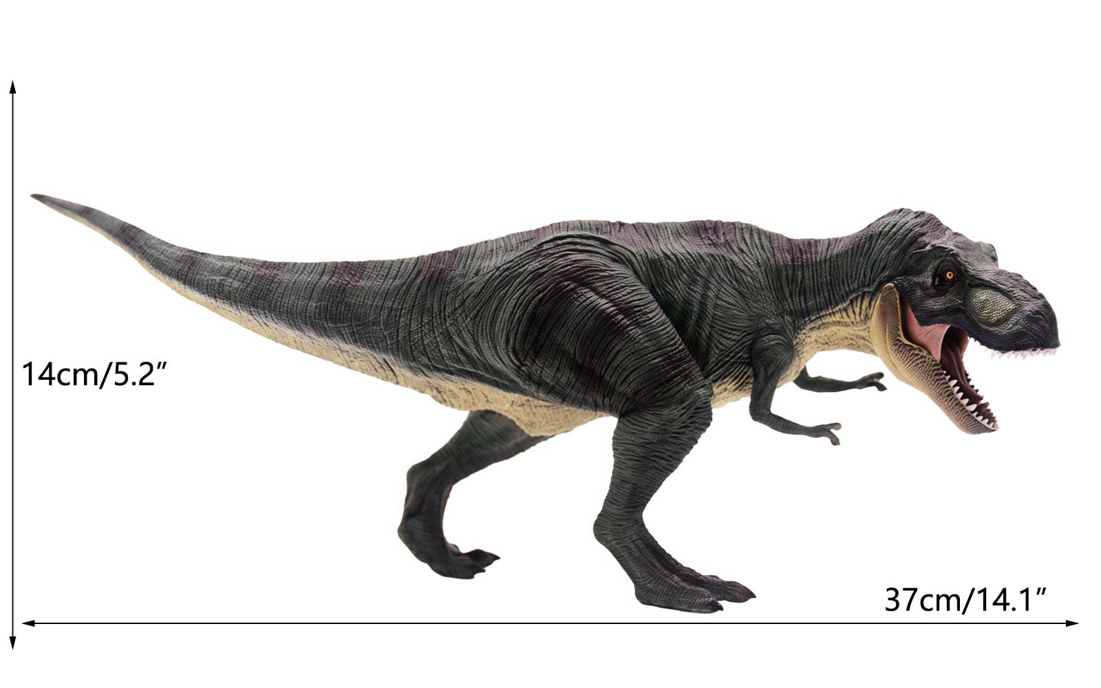 Amazon.com: Gemini&Genius Tyrannosaurus Rex Dinosaur Toy with